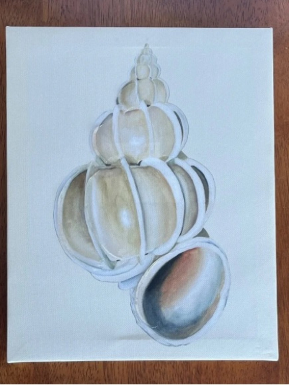 Textured Canvas ad Seashell 8x10 Artwork